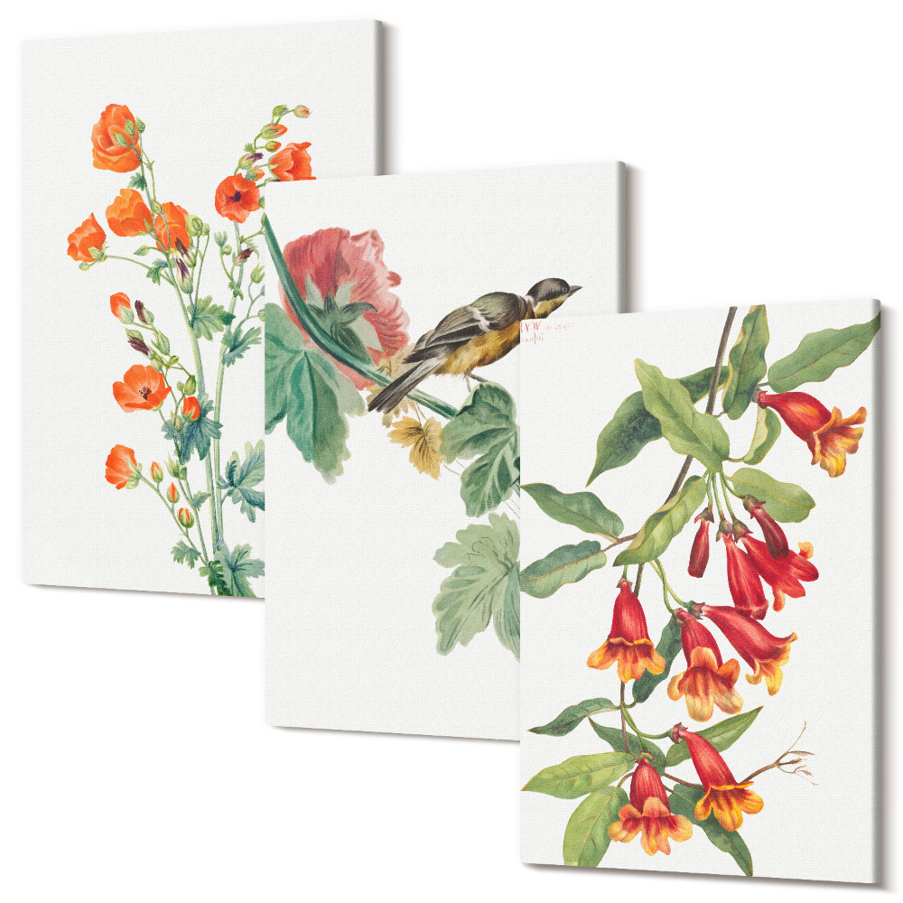 Tablou 3 piese Flori retro pictate și o pasăre pe o ramură