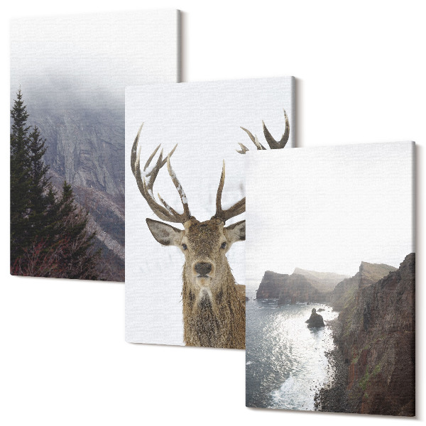 Set tablouri canvas triptic Peisaj montan cu ceață, apă și căprioare