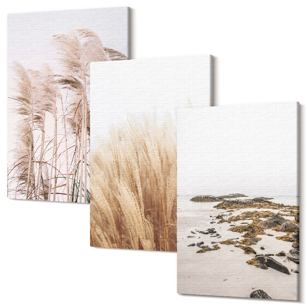 Tablou canvas set triptic Câmpuri de iarbă din Pampas și o plajă boho