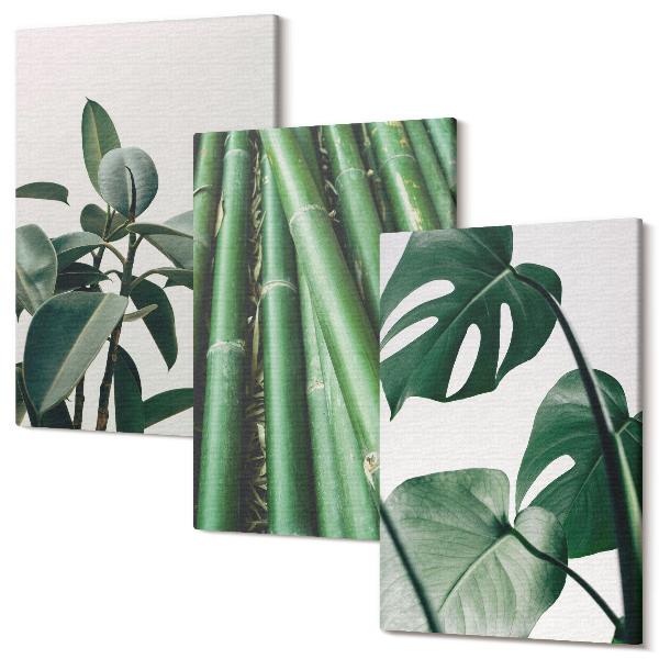Set tablouri canvas triptic Tulpini de bambus planta de apartament si frunze de monstera