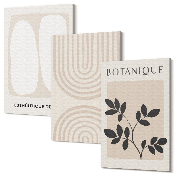Set tablouri canvas triptic Postere delicate Boho cu motive vegetale abstracte