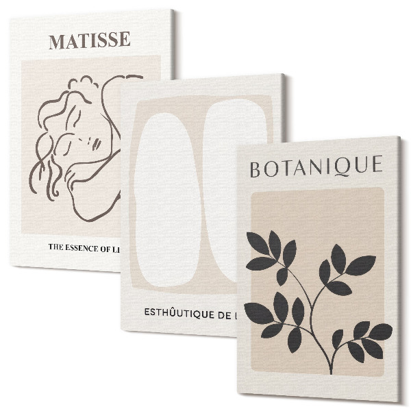 Tablou 3 piese Picturi minimaliste elegante cu motive vegetale de Matisse
