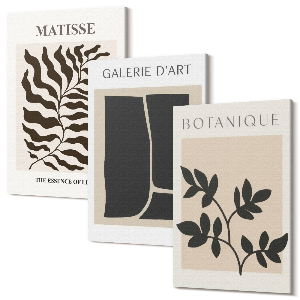 Set tablouri canvas triptic Afișe minimaliste cu modele de plante și rezumate