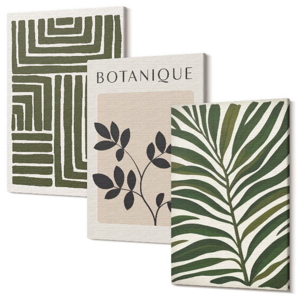 Set tablouri canvas triptic Compoziții botanice în stilul minimalismului boho