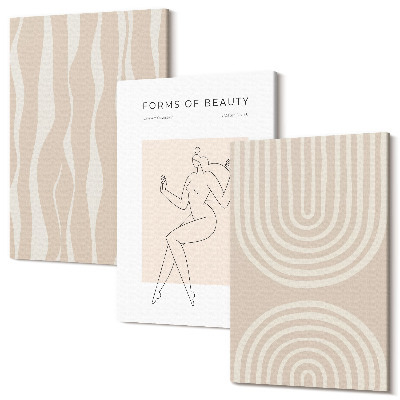 Set tablouri canvas triptic Modele abstracte decoratiuni boho delicate