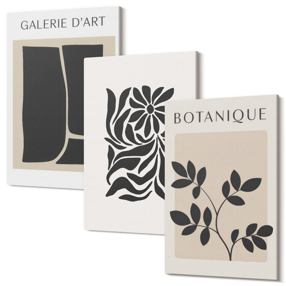 Tablou canvas set triptic Modele abstracte de plante și forme geometrice
