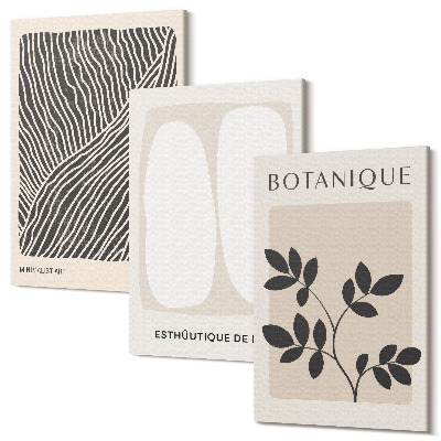 Set tablouri canvas triptic Modele florale și linii minimaliste în culori neutre