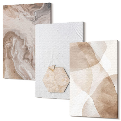 Tablou canvas set triptic Abstracție de designer inspirată din natură