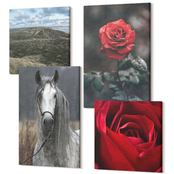Tablouri canvas set 4 piese Trandafiri roșii și un cal într-un decor gri