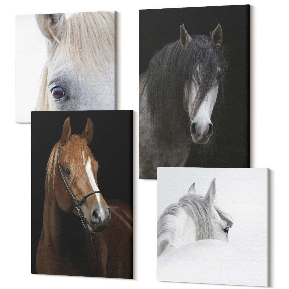 Tablou 4 piese Portrete de cai în diferite nuanțe de blană