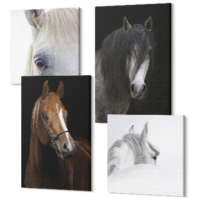 Tablou 4 piese Portrete de cai în diferite nuanțe de blană