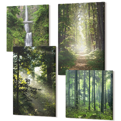 Tablouri multicanvas 4 piese Păduri verzi cu raze de lumină și o potecă forestieră