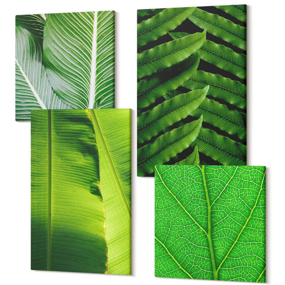 Tablouri multicanvas 4 piese Prim-planuri cu frunze tropicale