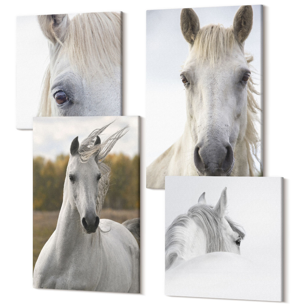 Tablouri canvas set 4 piese Cai albi în diverse ipostaze pe un fundal natural