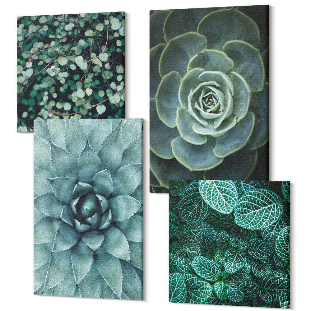 Tablouri canvas set 4 piese Plante suculente în nuanțe de verde și turcoaz