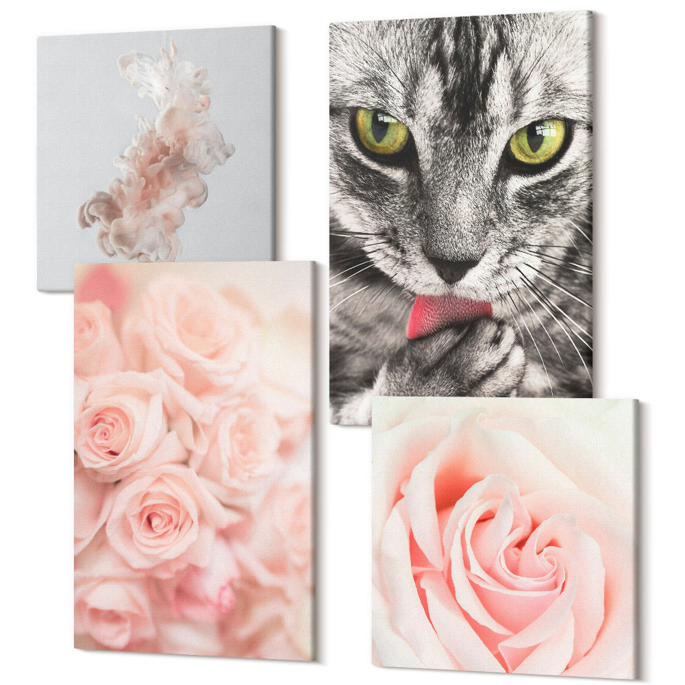 Tablouri canvas set 4 piese Pisica gri trandafiri delicati abstractie subtila