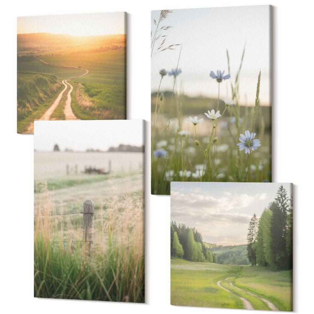 Tablou 4 piese Peisaje naturale cu câmpuri și o potecă la soare