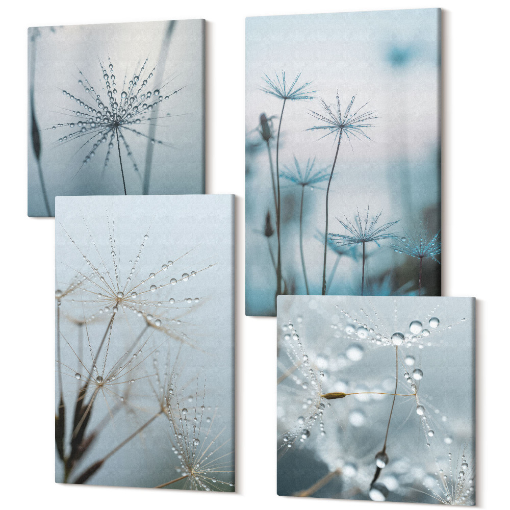 Tablouri canvas set 4 piese Păpădie delicată cu picături de apă