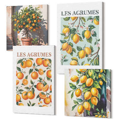 Tablou 4 piese Modele de citrice fructate în culori pastelate