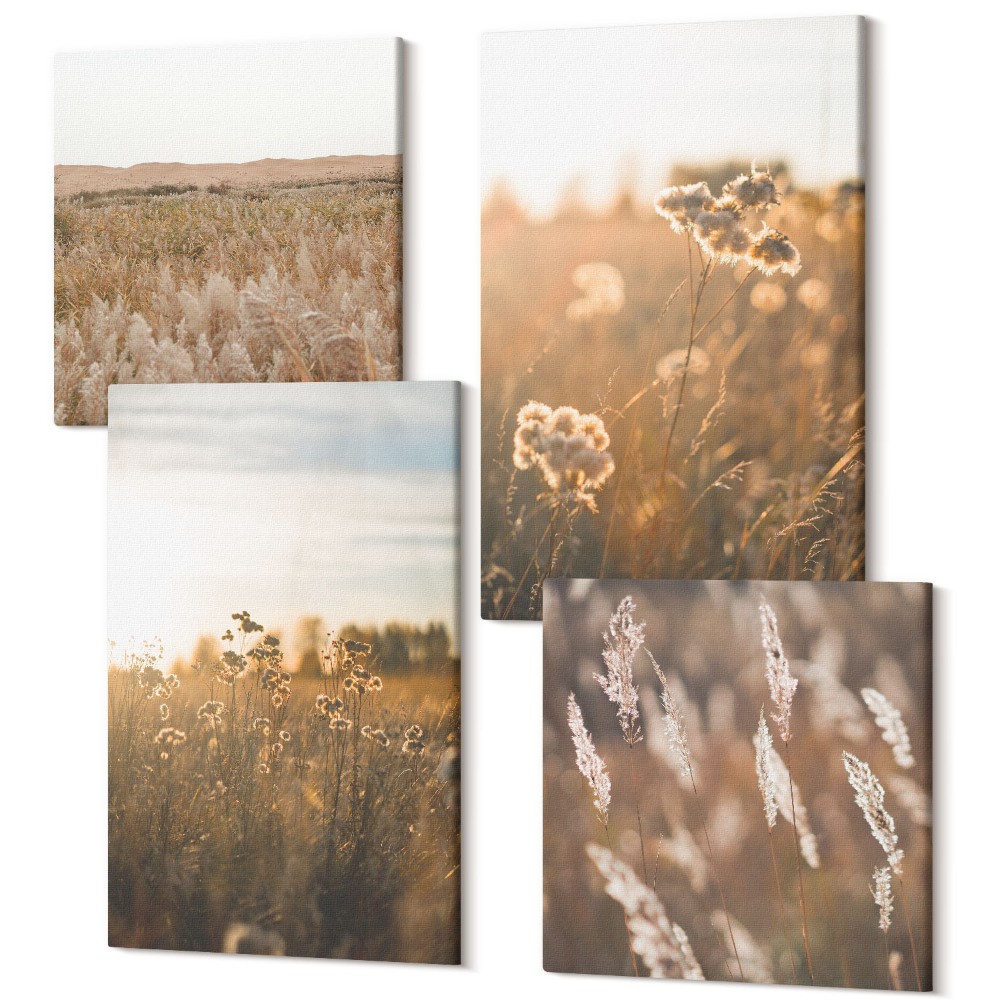 Tablouri canvas set 4 piese Vederi de vară asupra pajiștilor și florilor la apus