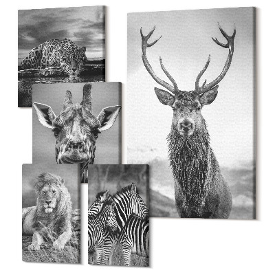 Set tablouri 5 piese Animale în alb și negru din natură și animale sălbatice