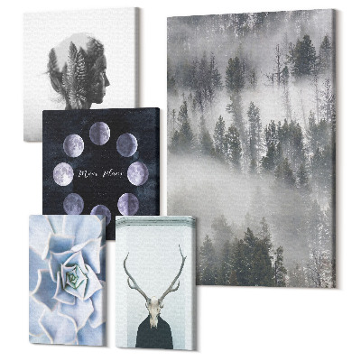 Set tablouri 5 piese Motive naturale forestiere și fenomene cosmice