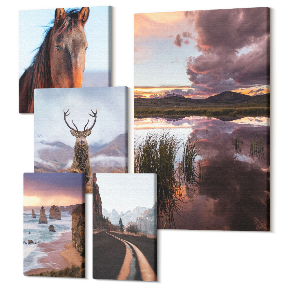 Set tablouri 5 piese Frumusețea naturală a peisajelor și a animalelor în aer liber