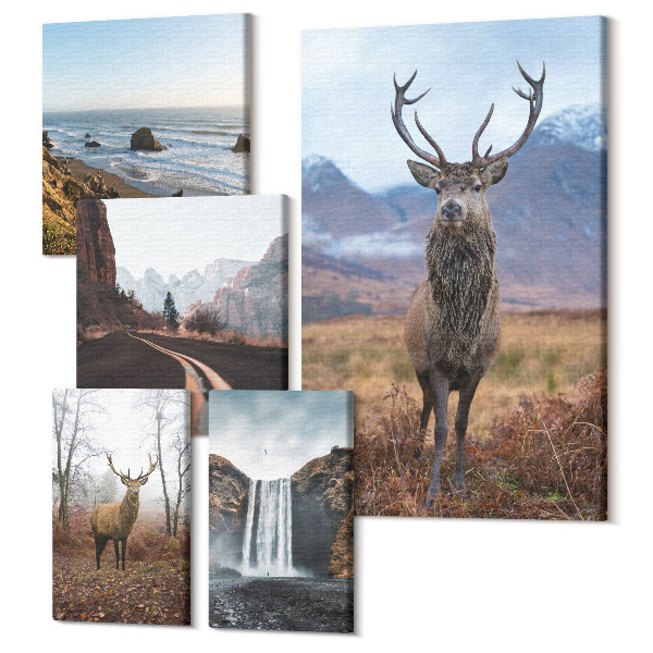 Tablou din 5 piese Natura și animale sălbatice în peisaje pitorești
