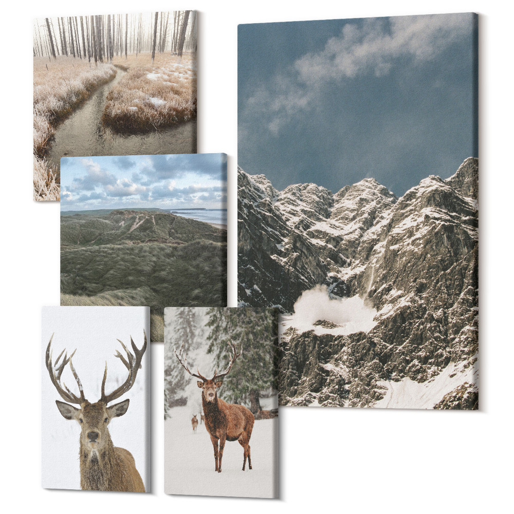 Set tablouri 5 piese Natură sălbatică și peisaje montane maiestuoase