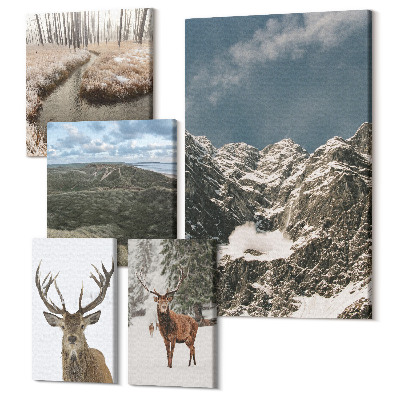 Set tablouri 5 piese Natură sălbatică și peisaje montane maiestuoase