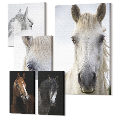 Tablou din 5 piese Portrete de cai în diverse unghiuri și stiluri artistice