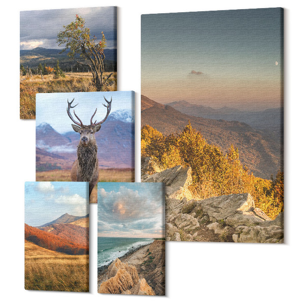 Tablouri canvas set 5 piese Peisaje naturale cu fauna salbatica si flora montana