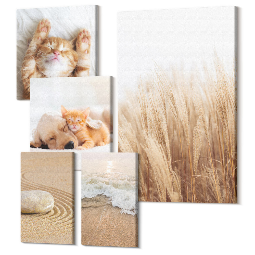 Tablouri canvas set 5 piese Animale fermecătoare și peisaje naturale într-o estetică modestă