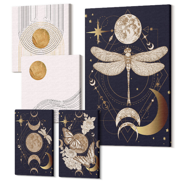 Tablou din 5 piese Motive spațiale elegante cu insecte și modele geometrice