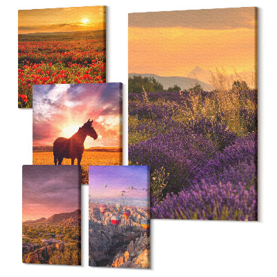 Tablou din 5 piese Peisaje naturale în aer liber cu cai și flori