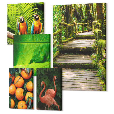 Tablouri canvas set 5 piese Motive ale naturii tropicale, fructe exotice și păsări