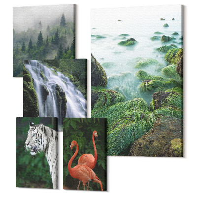 Tablou din 5 piese Natura în diferitele sale forme cu animale sălbatice și peisaje