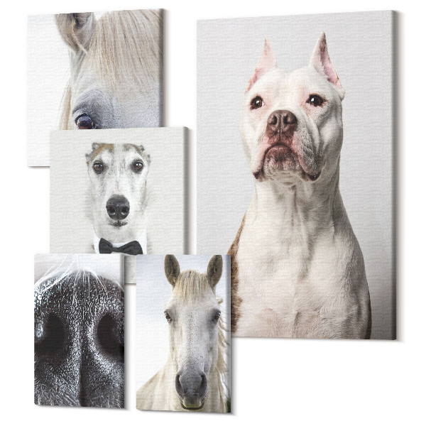 Set tablouri 5 piese Portrete de animale de companie într-un stil modern