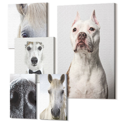 Set tablouri 5 piese Portrete de animale de companie într-un stil modern