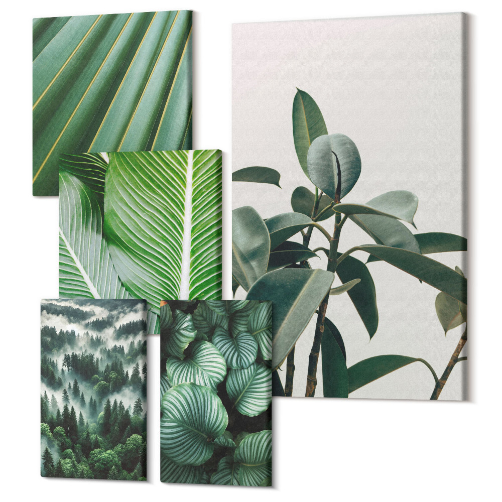 Set tablouri 5 piese Inspirații de plante într-un stil tropical și natural