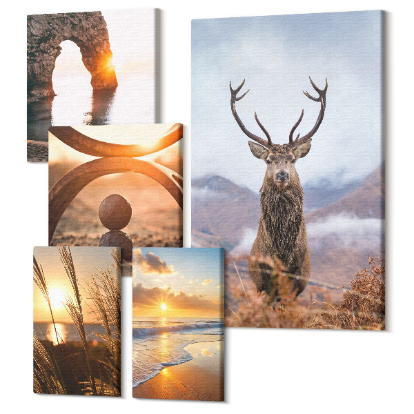 Set tablouri 5 piese Natura și animalele sălbatice într-un mediu armonios