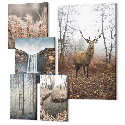 Set tablouri 5 piese Peisaje naturale cu animale sălbatice cu animale din pădure