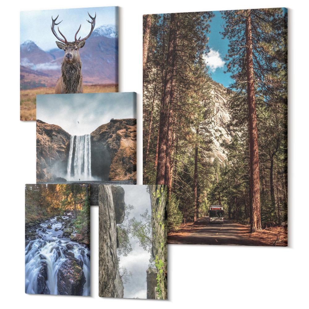 Tablouri canvas set 5 piese Peisaje naturale cu cascade și animale sălbatice