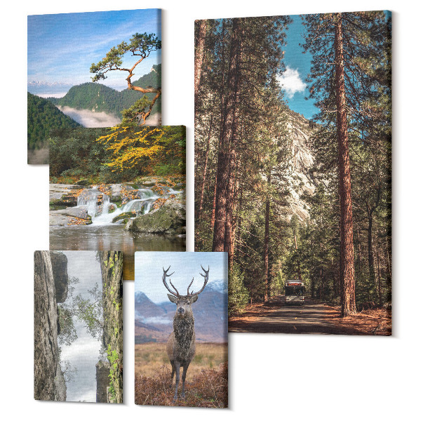 Tablou din 5 piese Peisaje naturale de păduri de munte și animale sălbatice