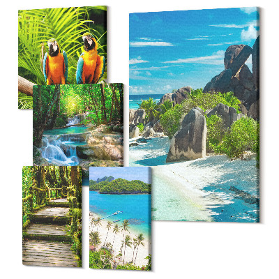 Tablouri canvas set 5 piese Peisaje tropicale cu păsări exotice și cascade