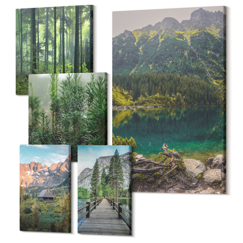 Tablou din 5 piese Peisaje naturale cu vedere la munte și păduri