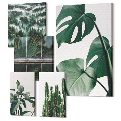 Set tablouri 5 piese Inspirație botanică cu frunze tropicale și cactusi