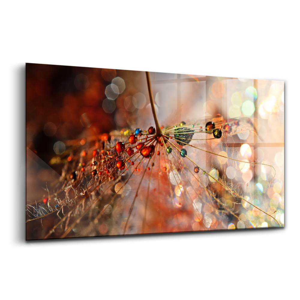 Tablou de sticlă Păpădie cu companie de rouă