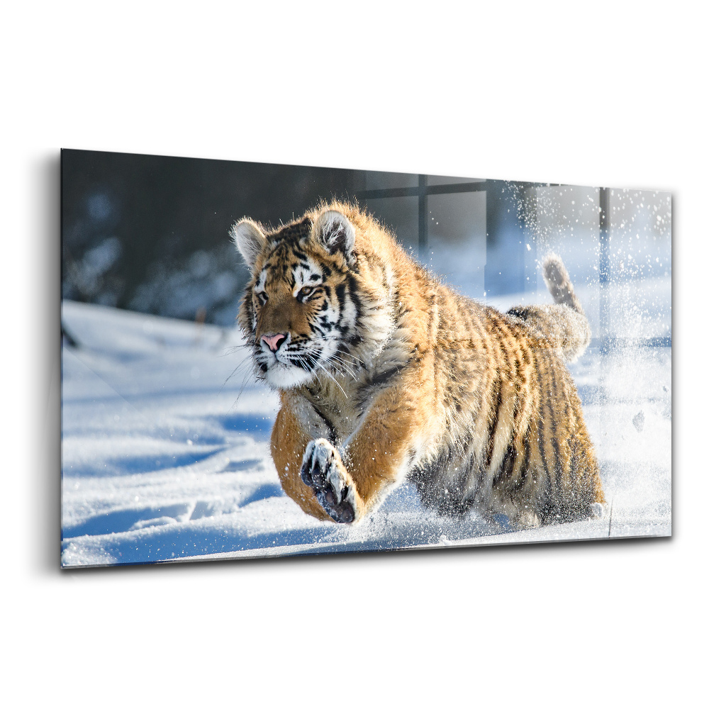 Tablou pe sticlă Un pas îndrăzneț înainte