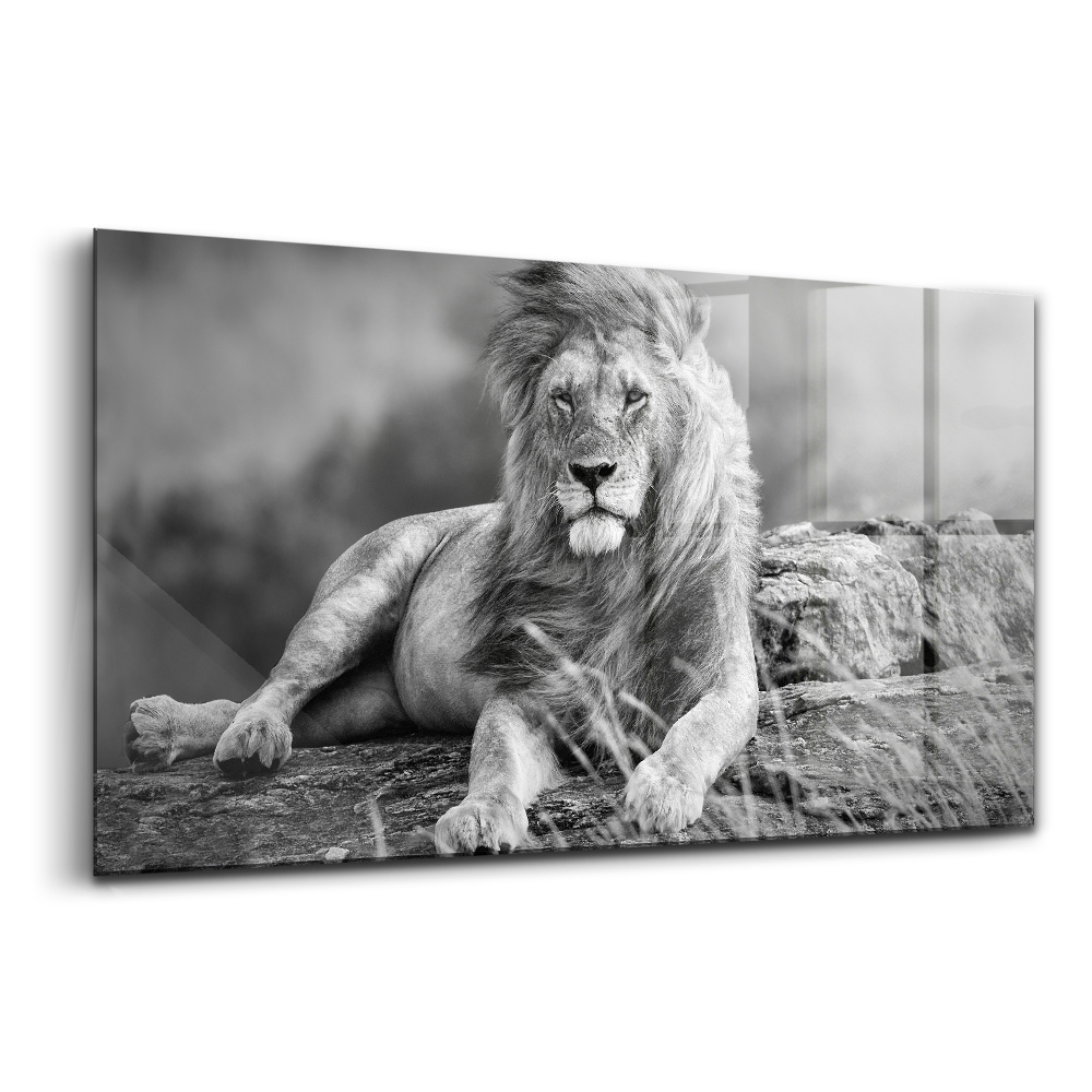 Tablou sticlă Uneori merită să-l oprești pe leu